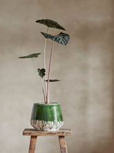 Load image into Gallery viewer, Moez Flowerpot, Green, Stoneware