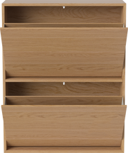 Load image into Gallery viewer, Case Shoe Cabinet