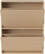 Load image into Gallery viewer, Case Shoe Cabinet