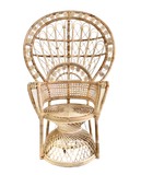 Peacock Chair