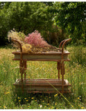 Rattan serving trolley table 70x43 cm